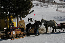 slitta a cavallo les deux alpes